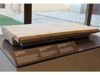 https://www.studiodaubal.com:443/files/gimgs/th-10_media_file_130250.gif