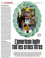 https://www.studiodaubal.com:443/files/gimgs/th-132_bully1web.jpg