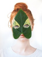 https://www.studiodaubal.com:443/files/gimgs/th-141_webfeuille.jpg
