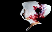 https://www.studiodaubal.com:443/files/gimgs/th-37_media_file_118794_v2.jpg