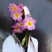 https://www.studiodaubal.com:443/files/gimgs/th-44_10432157_10152535993347574_5762900592673561537_n.jpg