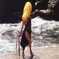 https://www.studiodaubal.com:443/files/gimgs/th-44_IMG_2850web.jpg