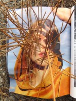 https://www.studiodaubal.com:443/files/gimgs/th-44_IMG_4754.jpg