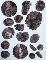https://www.studiodaubal.com:443/files/gimgs/th-44_IMG_5653b.jpg