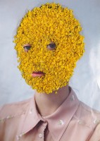 https://www.studiodaubal.com:443/files/gimgs/th-44_IMG_6448web.jpg