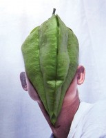 https://www.studiodaubal.com:443/files/gimgs/th-44_IMG_7410.jpg