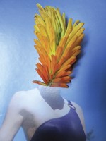 https://www.studiodaubal.com:443/files/gimgs/th-44_IMG_7418.jpg