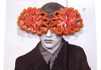 https://www.studiodaubal.com:443/files/gimgs/th-44__IMG0389web3.jpg