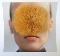 https://www.studiodaubal.com:443/files/gimgs/th-44_artichaudweb.jpg