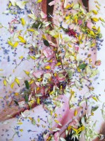 https://www.studiodaubal.com:443/files/gimgs/th-44_fleur.jpg