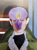 https://www.studiodaubal.com:443/files/gimgs/th-44_w1935.jpg