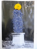 https://www.studiodaubal.com:443/files/gimgs/th-44_wstatue4.jpg