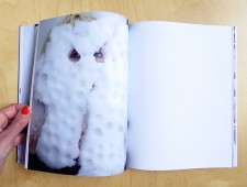 https://www.studiodaubal.com:443/files/gimgs/th-78_page09.jpg